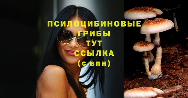 метадон Козловка