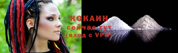 стафф Козельск