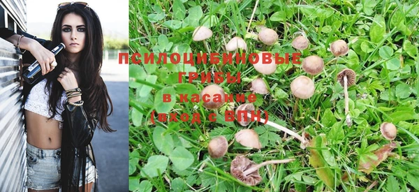метадон Козловка