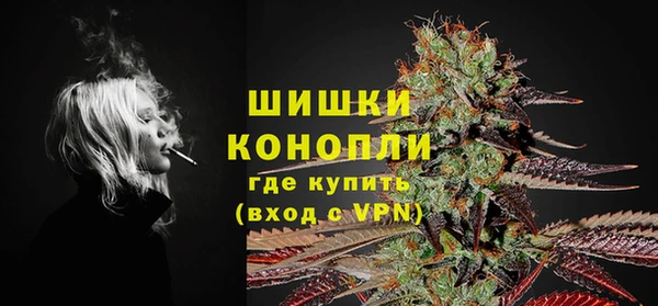 стафф Козельск