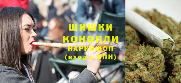стафф Козельск