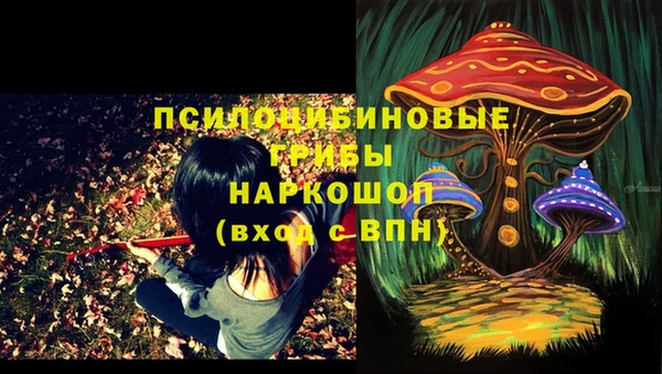 стафф Козельск